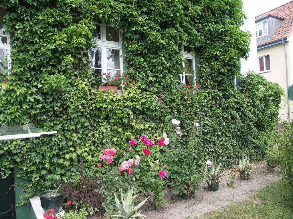 3 Sterne Hotel Frankfurt-Oder Zur Alten Oder Франкфурт на Одер Екстериор снимка