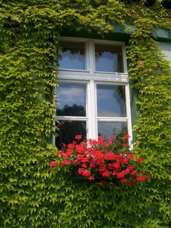 3 Sterne Hotel Frankfurt-Oder Zur Alten Oder Франкфурт на Одер Екстериор снимка